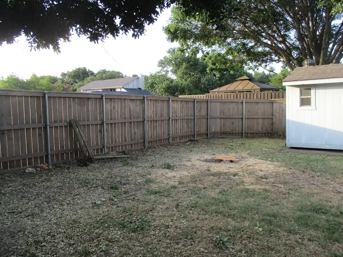 Cleared yard after professional tree removal in Pompeys Pillar